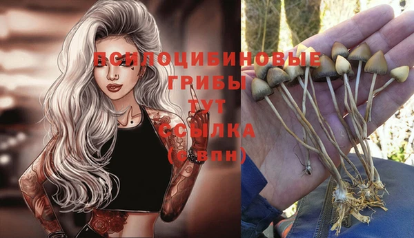 Альфа ПВП Наволоки
