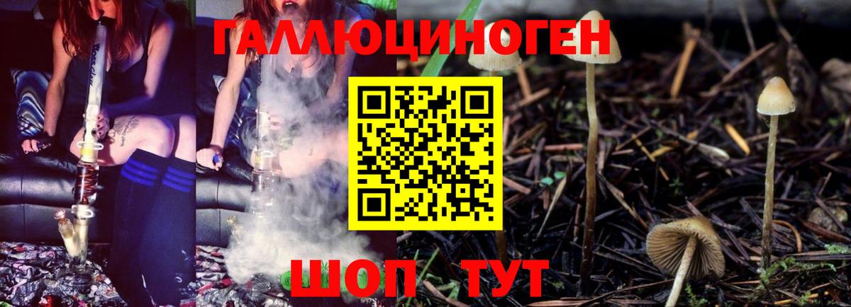 Самара  купить наркотики сайты  Вход с VPN  Псилоцибиновые грибы MAGIC MUSHROOMS 